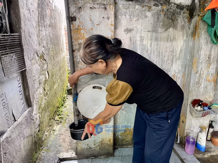 Nước máy dùng để tưới cây, còn nước khe được bà Đào Thị Tư (khu 4, phường Vàng Danh) dùng cho ăn uống, pha trà.