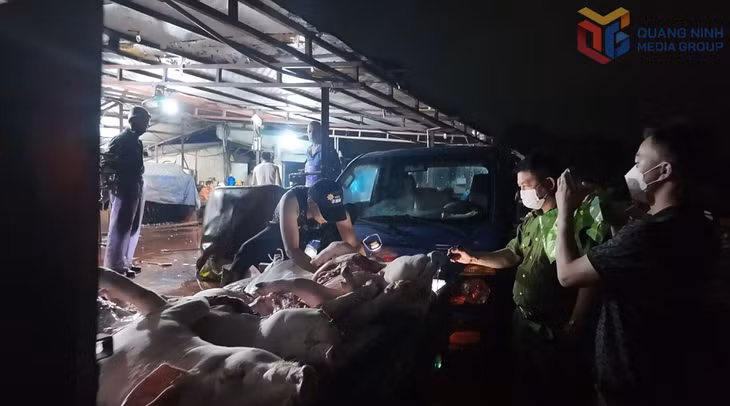 Lực lượng chức năng kiểm tra, phát hiện nhiều sai phạm tại lò mổ lợn tại phường Việt Hưng, Quảng Ninh.