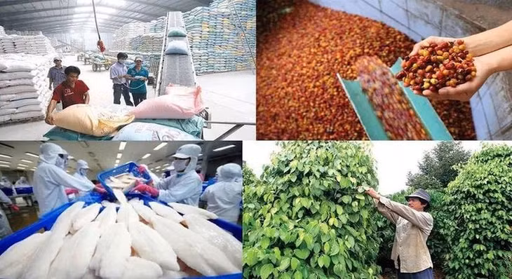 Bài toán trung tâm của mục tiêu 100 tỷ USD là: Làm thế nào để biến lợi thế sản xuất của Việt Nam thành năng lực cạnh tranh quốc tế của toàn bộ chuỗi giá trị?