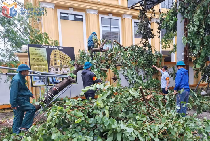 Lực lượng chức năng phường Móng Cái 2 dọn dẹp cây gãy đổ tại các tuyến đường, đảm bảo an toàn giao thông.