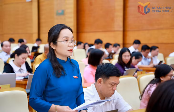 Đại biểu Nguyễn Thị Vân Hà, Phó Trưởng Ban chuyên trách Ban Pháp chế HĐND tỉnh phát biểu thảo luận.