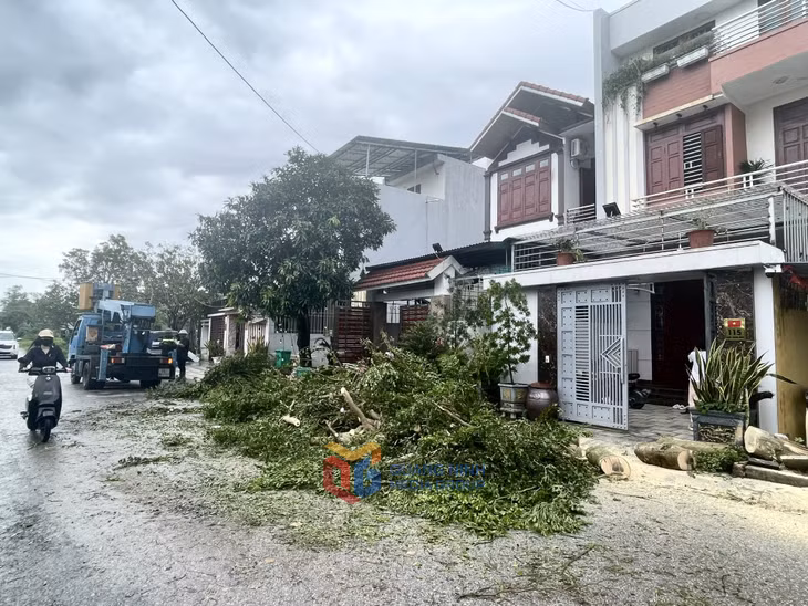 Cây xanh bị gãy đổ tại các khu dân cư đang được tích cực dọn dẹp để đảm bảo giao thông.