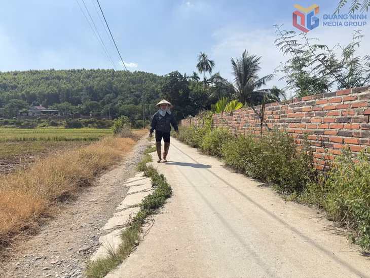 Tuyến đường nội đồng tại khu An Biên, phường Đông Triều xuống cấp sau thời gian dài phục vụ thi công Dự án đường ven sông.
