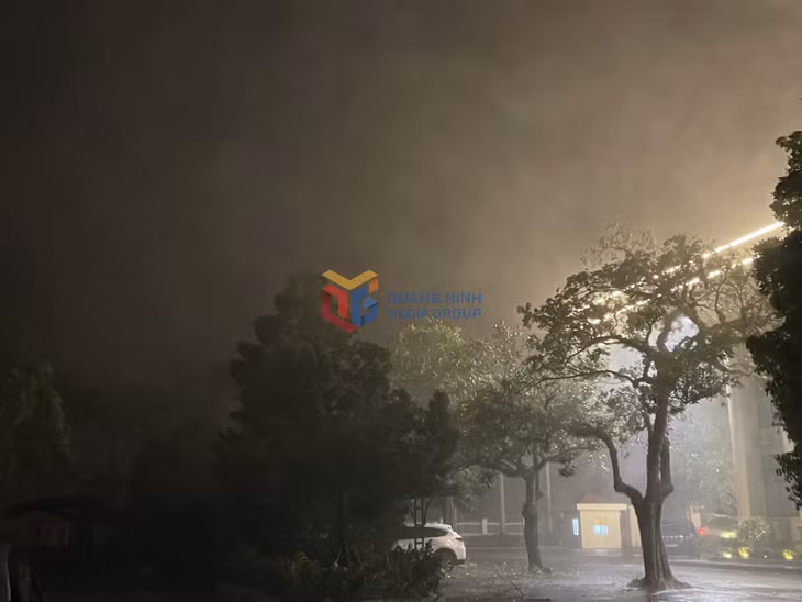 Khu vực Móng Cái có mưa rất lớn, gió giật cấp 8, cấp 9.