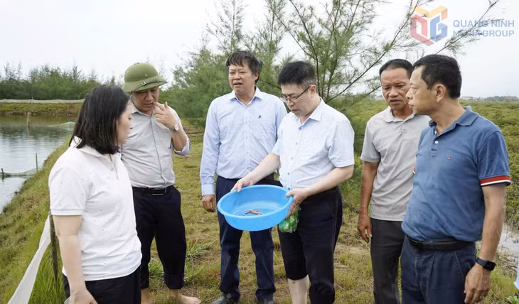 Đoàn công tác Sở KH&CN đánh giá kết quả bước đầu của mô hình nuôi thương phẩm sá sùng trong ao tại xã Quảng Tân.