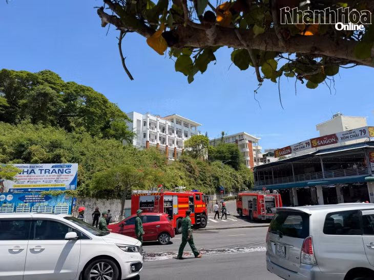 Nhiều phương tiện chữa cháy được điều động tới hiện trường.