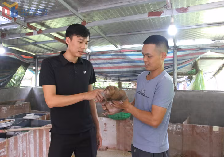Bí thư Chi bộ thôn Đồng Quặng Triệu Quý Cương đến thăm, nắm tình hình mô hình nuôi đúi của bà con trong thôn. 