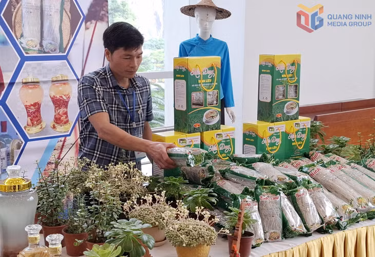 Giám đốc HTX Nông nghiệp và Dịch vụ Nghiệp Đoàn (xã Hoành Mô) Vi Văn Nghiệp, giới thiệu các sản phẩm đặc trưng của HTX.