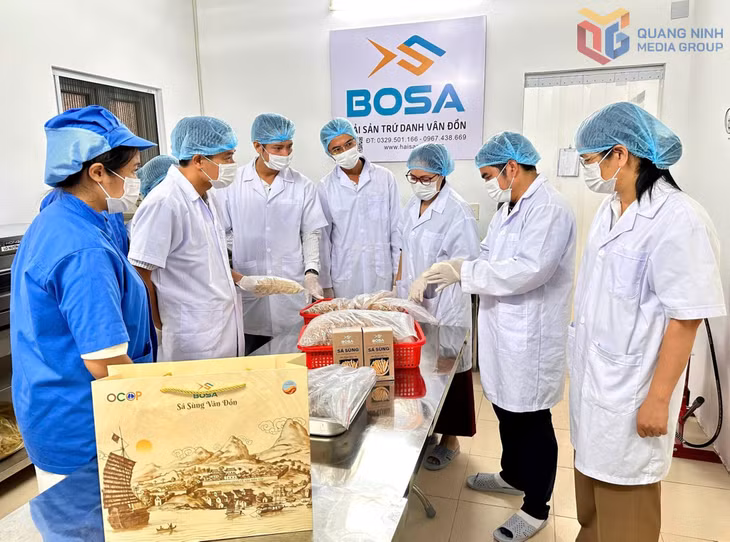 Đoàn kiểm tra của Sở KH&CN đánh giá tiến độ nghiên cứu, hoàn thiện quy trình công nghệ sản xuất viên mắm khô vị sá sùng tại Công ty TNHH Thanh Tùng Vân Đồn.