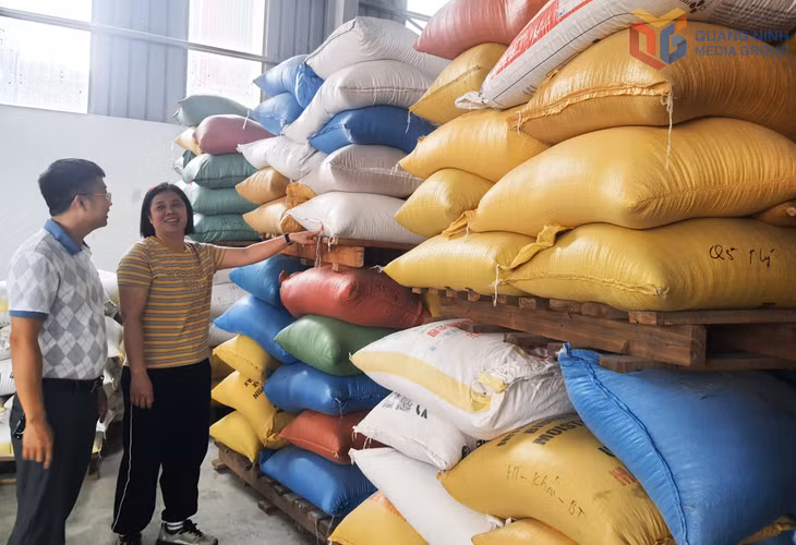Công ty CP Giống cây trồng Quảng Ninh chuẩn bị thóc giống kịp thời cung ứng cho thị trường.