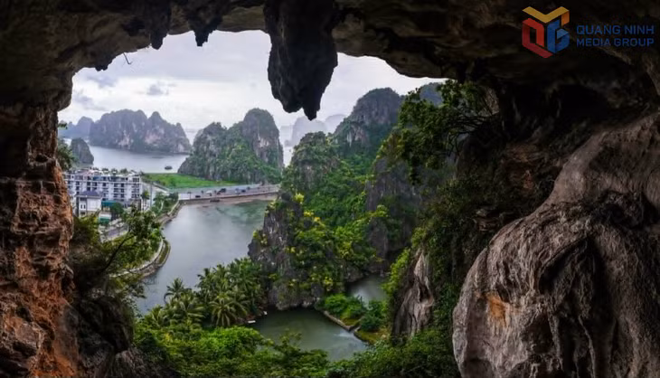 Khung cửa thiên nhiên nơi lòng hang đá mở ra một khoảng trời xanh thẳm. Xa xa, những cụm hoa vàng như những nét cọ tinh tế điểm xuyết cho bức tranh kỳ vĩ của tạo hóa.