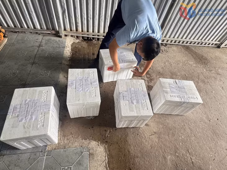 Kết quả kiểm định chất lượng 5/5 mẫu nước đá dùng liền tại cơ sở này đều không đạt Quy chuẩn kỹ thuật quốc gia QCVN 10:2011/BYT. Các mẫu đều có ít nhất 3 chỉ tiêu vi sinh vượt giới hạn cho phép.