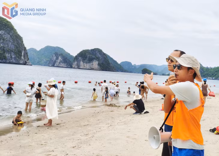 Nhân viên Trung tâm (Ban Quản lý...)