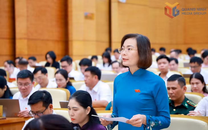 Đại biểu HĐND tỉnh Nguyễn Vũ Thu Hòa, Phó Chủ tịch Ủy ban MTTQ tỉnh, Chủ tịch Hội LHPN tỉnh phát biểu thảo luận tại hội trường.