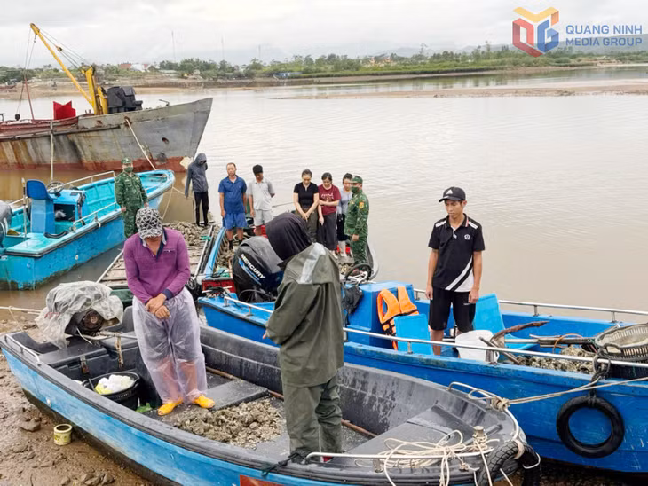 Các đối tượng cắt dây hàu hà của gia đình anh Vi Văn Quyết.