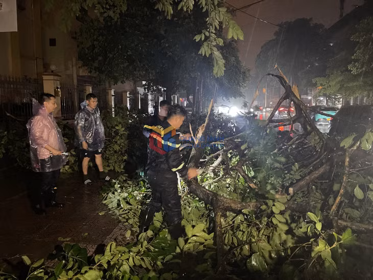 Lực lượng chức năng có mặt ngay trong đêm khắc phục các sự cố về cây đổ.