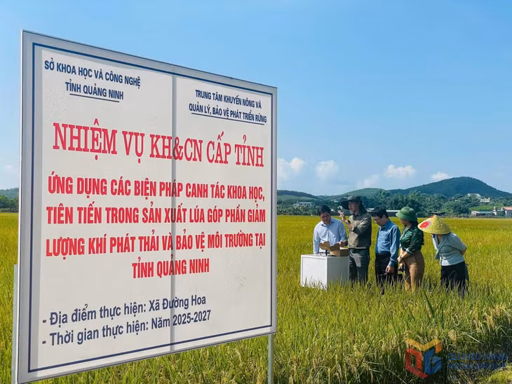Các đơn vị kiểm tra việc triển khai mô hình ứng dụng các biện pháp canh tác tiên tiến trong sản xuất lúa tại xã Đường Hoa.