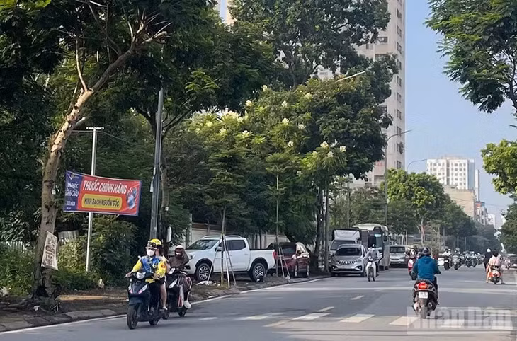 Dự báo khu vực Hà Nội ngày nắng nóng. (Ảnh minh họa: Đ.T)