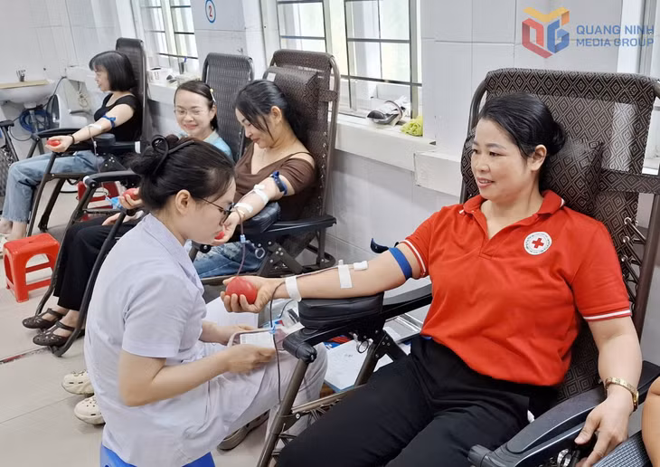 Tình nguyện viên Hội chữ thập đỏ tỉnh tích cực tham gia hiến máu tại Ngày hội “Giọt hồng yêu thương” tổ chức ở Bệnh viện Bãi Cháy, tháng 6/2026.