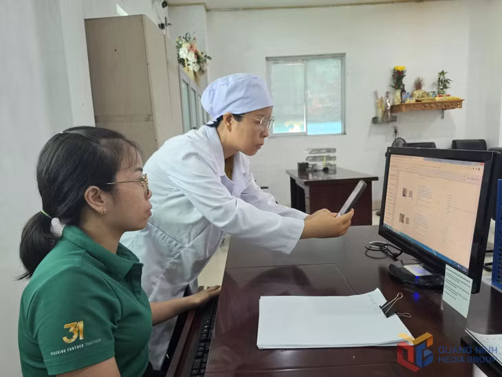 Cán bộ Công ty TNHH Đầu tư phát triển sản xuất Hạ Long kiểm tra mã truy xuất nguồn gốc sản phẩm trên Hệ thống cơ sở dữ liệu truy xuất nguồn gốc thực phẩm nông, lâm, thủy sản an toàn của tỉnh tại địa chỉ http://qn.check.net.vn.