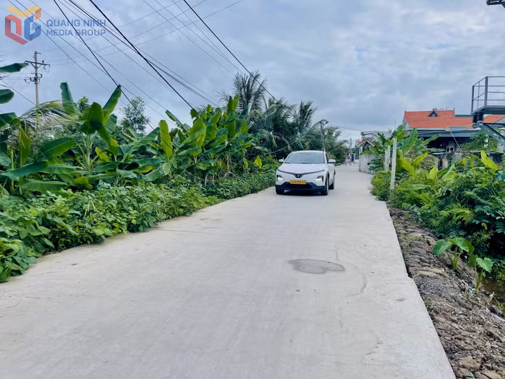 Tuyến ngõ 120 khu Thành Công, phường Phong Cốc được nâng cấp, đảm bảo an toàn cho nhân dân.