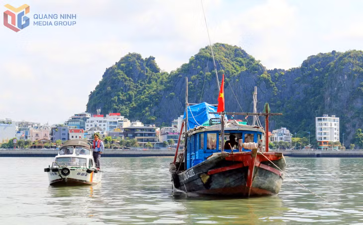 Lực lượng kiểm tra của Ban cùng các lực lượng phối hợp tuần tra kiểm soát, xử lý hiệu quả các vi phạm trên Vịnh Hạ Long.