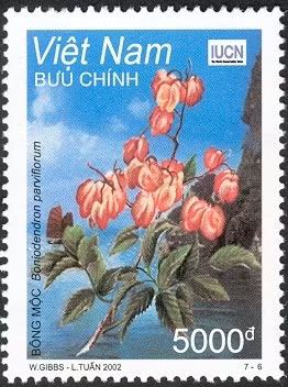Hình ảnh cây bông mộc trên tem bưu chính Việt Nam.