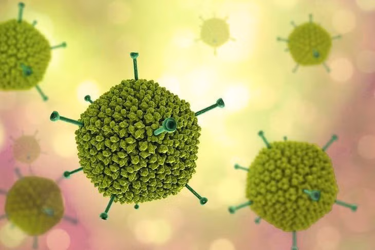 Adenovirus là loại virus phổ biến, có thể gây bệnh quanh năm nhưng thường gia tăng vào thời điểm giao mùa hoặc mùa hè.