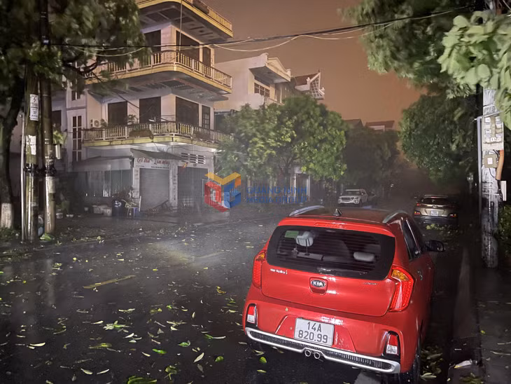 Mưa lớn kèm gió giật mạnh khiến một số khu vực trên địa bàn phường Móng Cái 1 bị mất điện.