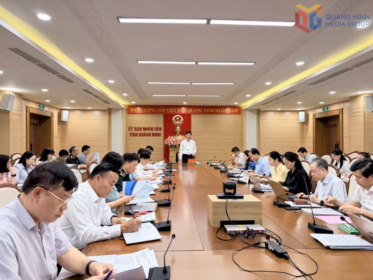 Đồng chí Nguyễn Văn Công, Phó Chủ tịch UBND tỉnh, phát biểu chỉ đạo tại cuộc họp.
