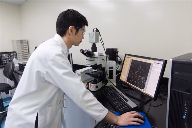 Các viện nghiên cứu, trường đại học và đội ngũ nhà khoa học tiếp tục phát huy vai trò nòng cốt trong tạo ra tri thức mới, công nghệ mới và nguồn nhân lực chất lượng cao. Ảnh: Hà Trang