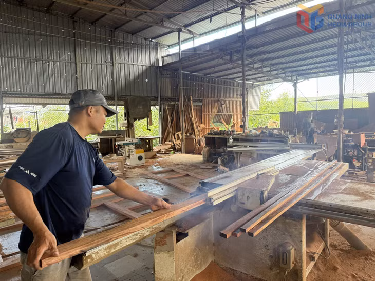 Cơ sở sản xuất đồ gỗ trong khu dân cư trên địa bàn phường Việt Hưng thuộc diện rà soát theo Nghị quyết số 201/NQ-HĐND của HĐND tỉnh.