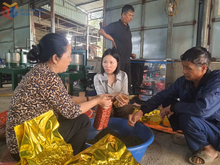 Tổ sản xuất chè hữu cơ xã Quảng Đức kiểm tra mẻ chè mới.