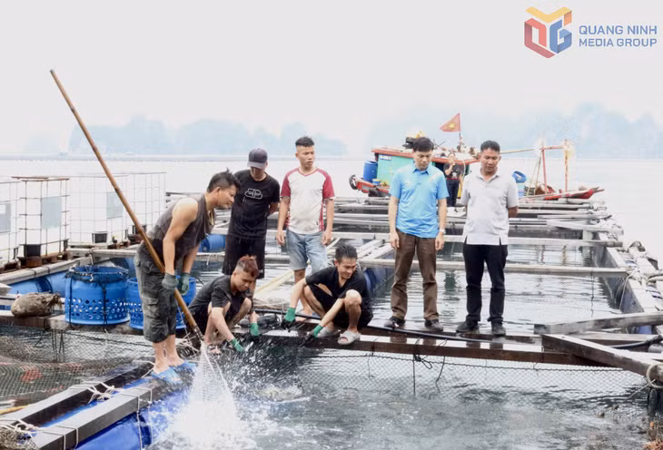 Đoàn công tác của Liên minh HTX tỉnh khảo sát, đánh giá hoạt động nuôi trồng thủy sản tại HTX Nuôi trồng thuỷ sản Phúc Nam.