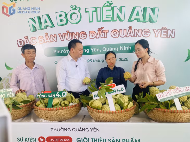 Lãnh đạo, cán bộ phường Quảng Yên và người dân khu Tiền An giới thiệu na trong buổi livestream.