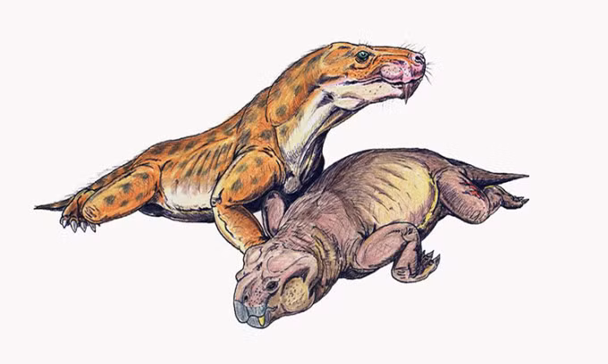 Mô phỏng Euchambersia ăn thịt con mồi Dicynodont. Ảnh: Wikipedia