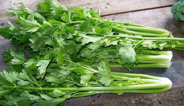 Rau cần tây có nhiều công dụng đối với sức khỏe.