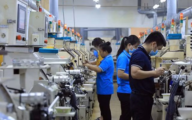 Doanh nghiệp đề xuất sửa đổi Nghị định 132 theo thực tế kinh doanh - Ảnh 2.
