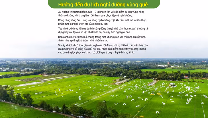 Du lịch cộng đồng miền Tây: Về nghe tiếng ếch kêu... - Ảnh 10.