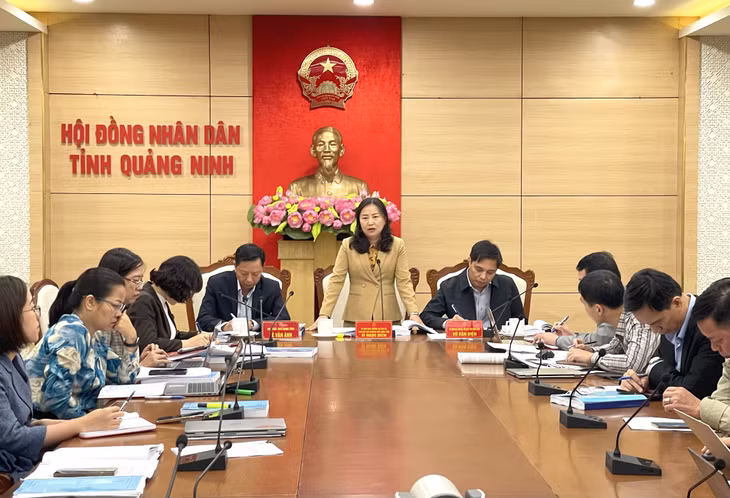 Đồng chí Vi Ngọc Bích, Phó Chủ tịch Thường trực HĐND tỉnh, phát biểu tại buổi làm việc.