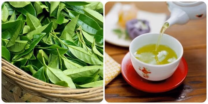 Chè xanh tốt nhưng không phải ai cũng có thể uống được.