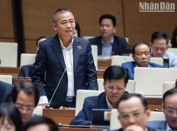 Đại biểu Quốc hội Nguyễn Lân Hiếu Ảnh: Anh Khoa