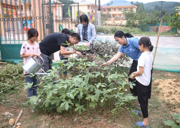 Sau giờ học, thầy trò trường TH&amp;THCS Kỳ Thượng cùng nhau trồng rau, làm vườn.