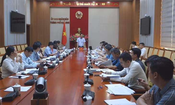 Đồng chí Lê Văn Ánh, Phó Chủ tịch HĐND tỉnh phát biểu tại buổi làm việc.