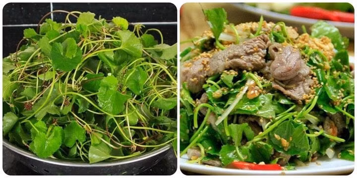 Rau má rất tốt cho sức khoẻ