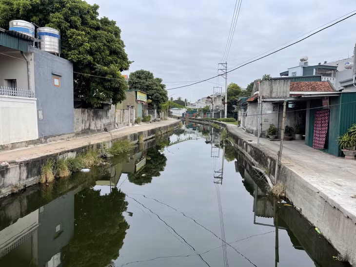 Hệ thống kênh tiêu thoát nước khu 3, phường Phong Cốc, TX Quảng Yên đang bị ô nhiễm...