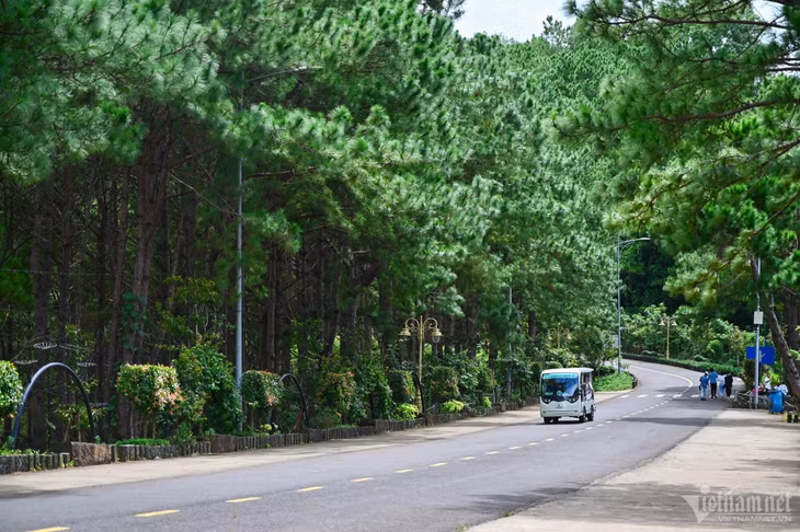 Vì là khu du lịch được quy hoạch bài bản, nên đường ở đây rộng, thoáng đãng và sạch sẽ