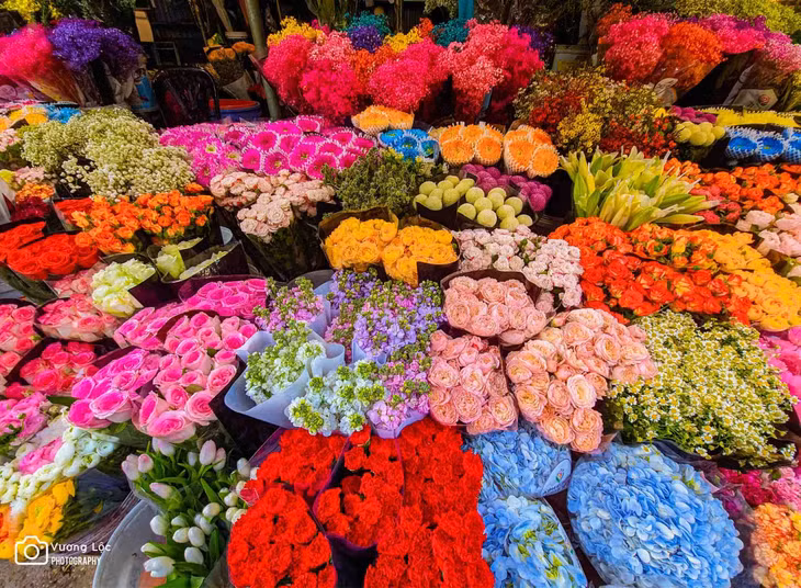 Đến đây, du khách sẽ ngắm muôn sắc hoa rực rỡ như cúc, hồng, ly, lan, thanh liễu, tulip hay hoa baby… Ảnh: Vương Lộc