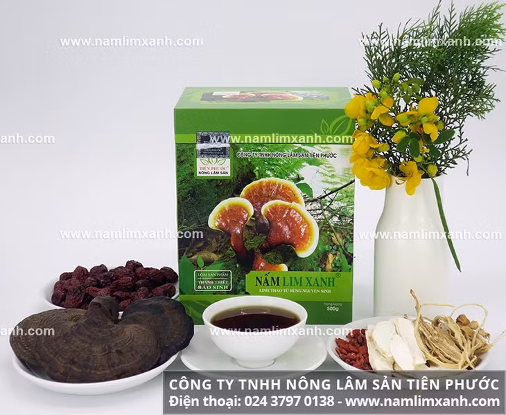 Mua nấm lim xanh công ty Tiên Phước tác dụng tốt đúng nấm rừng.