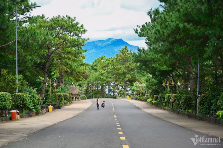 Một con đường thông khác cũng rất được yêu thích ở Gia Lai là con đường thông trong khu vực Biển Hồ